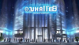 TPwallet冷錢包公司，數字資產安全的守護者
